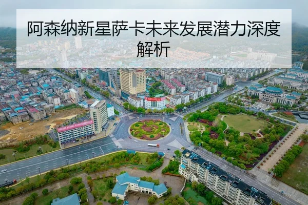 a-sen-na-xin-xing-sa-ka-wei-lai-fa-zhan-qian-li-shen-du-jie-xi-2-936.jpg