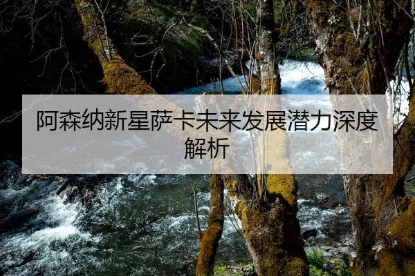 阿森纳新星萨卡未来发展潜力深度解析